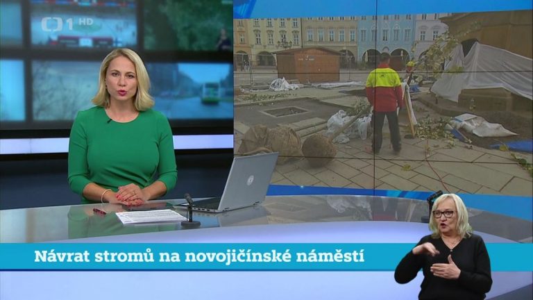 Návrat stromů na novojičínské náměstí